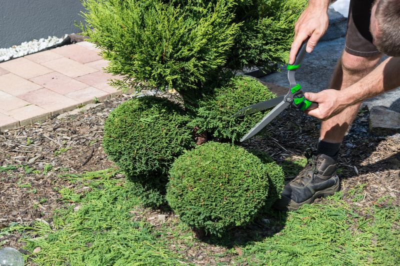 Shrub Pruning in Aiken, SC