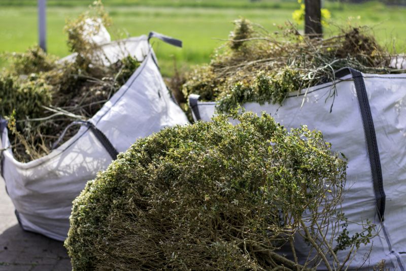 Shrub Removal Services