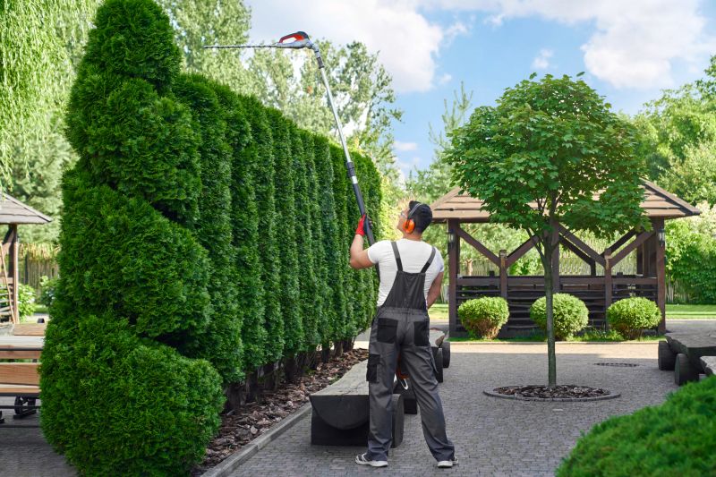 Commercial Shrub Trimming in Rockwall, TX