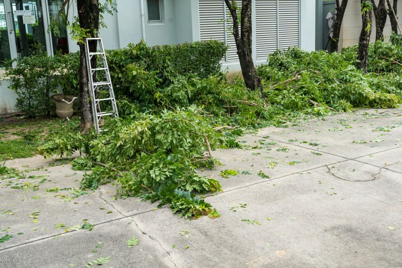 Cost of Shrub Removal — Cost of Shrub Removal