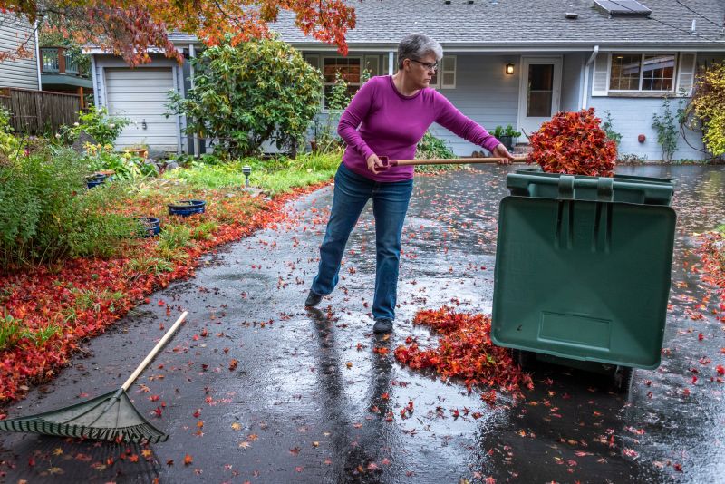 Clearing Lawn of Leaves