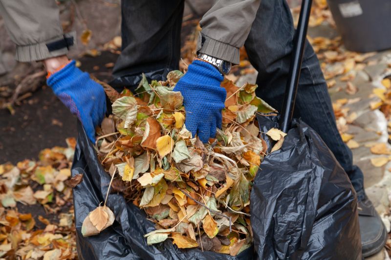 Cleaning Up Fallen Leaves