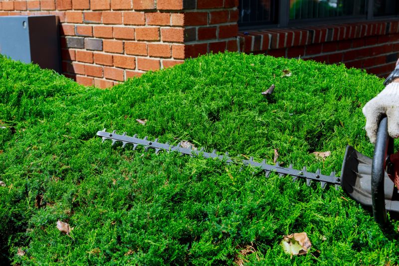 Hedge Trimming in Rockwall, TX