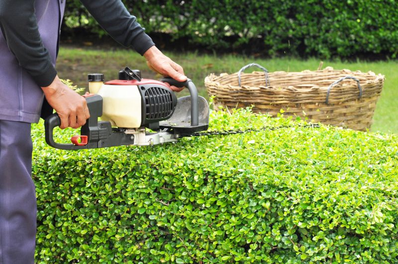 Hedge Trimming in Ventura County, CA