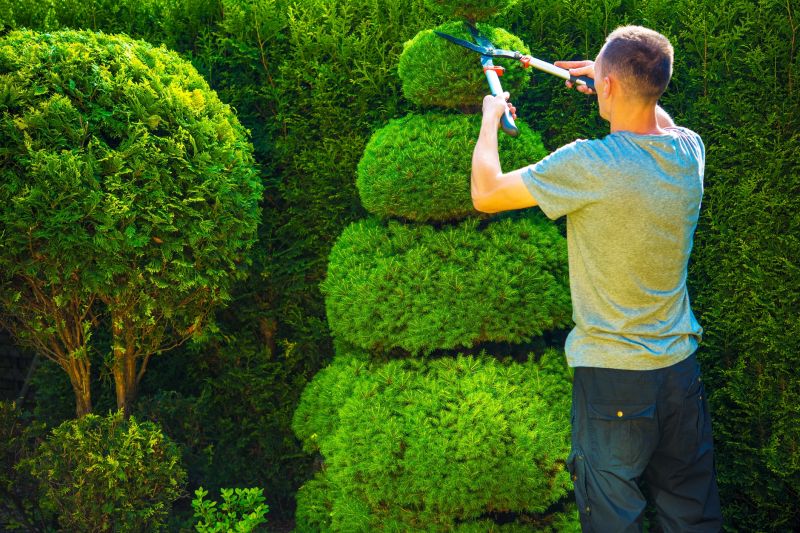 Clipping Overgrown Shrubs