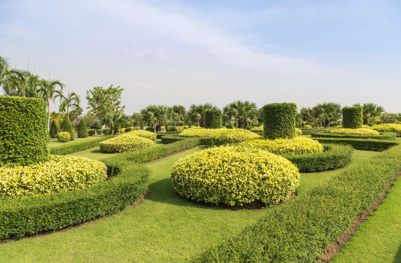 Decorative Shrub Designs