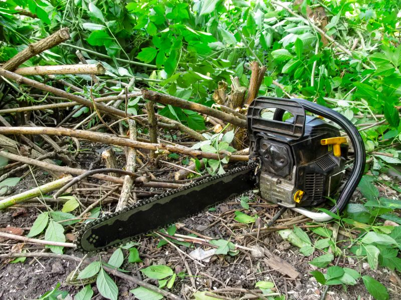 Dead or unhealthy shrubs can attract pests like rodents and insects or spread diseases to nearby plants
