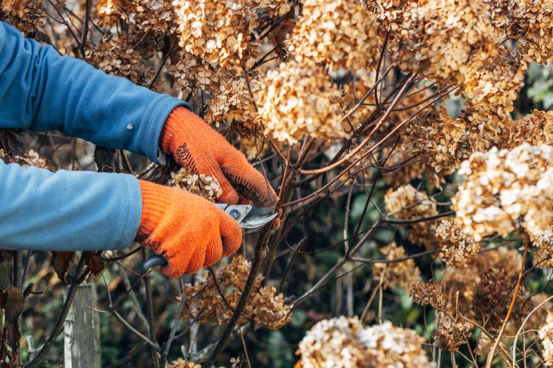 Overgrown or dying shrubs can make your property look unkempt.